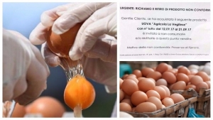 Allarme Fipronil, sequestrate circa 4mila uova provenienti dall&#039;azienda produttrice di Veglie