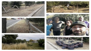 Spazi verdi abbandonati rinascono grazie all&#039;Associazione Micologica Campiense