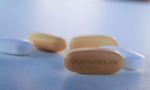 Arriva anche in Puglia la pillola anti-Covid: curati i primi sei pazienti con il nuovo antivirale