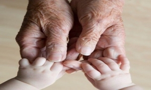 Giornata mondiale dei nonni e degli anziani: due iniziative della Diocesi di Lecce