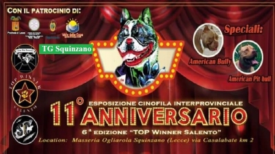 Cani in passerella: si svolge domani l&#039;11ª esposizione cinofila interprovinciale
