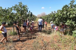 Masseria Petrelli accoglie i bambini: si sperimenta la vita coltivando le tradizioni