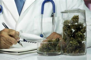 Cannabis terapeutica: la Asl produce ed eroga i preparati galenici nella farmacia di Maglie