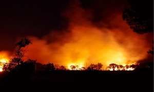 Stato di grave pericolosità per gli incendi boschivi: l&#039;ordinanza della Commissione Straordinaria