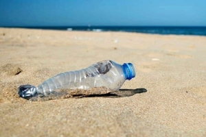 Raccolta dei rifiuti e pulizia delle spiagge a Casalabate per la Giornata del Creato 2020