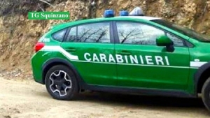 64enne colto in flagrante dai Carabinieri forestali mentre cerca di rubare legna di ulivo