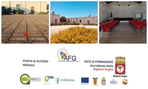 Percorsi formativi regionali in vari settori: AFG ne presenta diversi a Squinzano