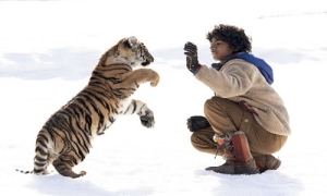 Al Cinema Massimo doppia programmazione: &quot;Il ragazzo e la tigre&quot; e &quot;Don&#039;t worry darling&quot;